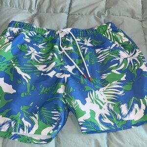 Calvin Klein Blue and Green Swim Trunks
